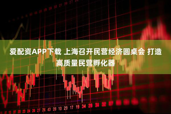 爱配资APP下载 上海召开民营经济圆桌会 打造高质量民营孵化器