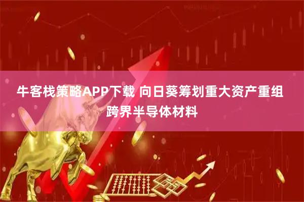 牛客栈策略APP下载 向日葵筹划重大资产重组 跨界半导体材料